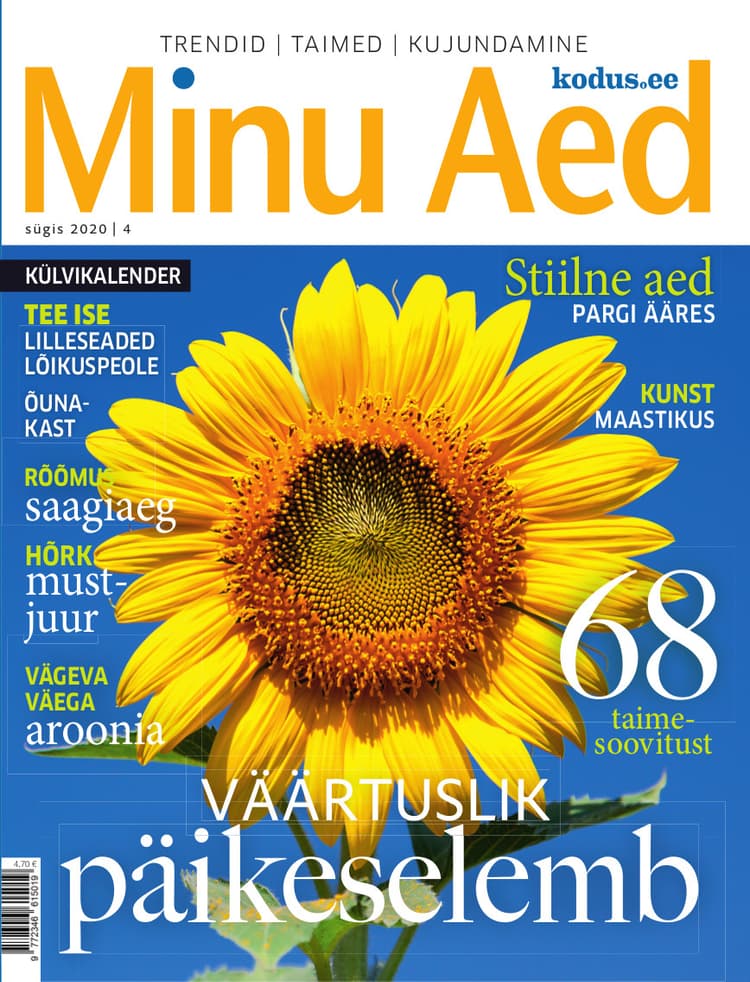 MINU AED SÜGIS 2020