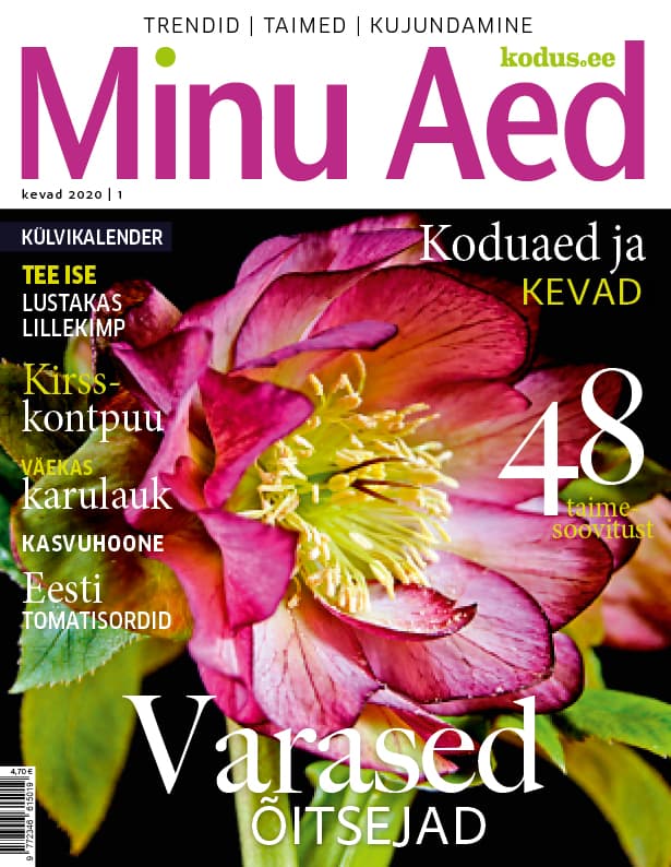 MINU AED KEVAD 2020