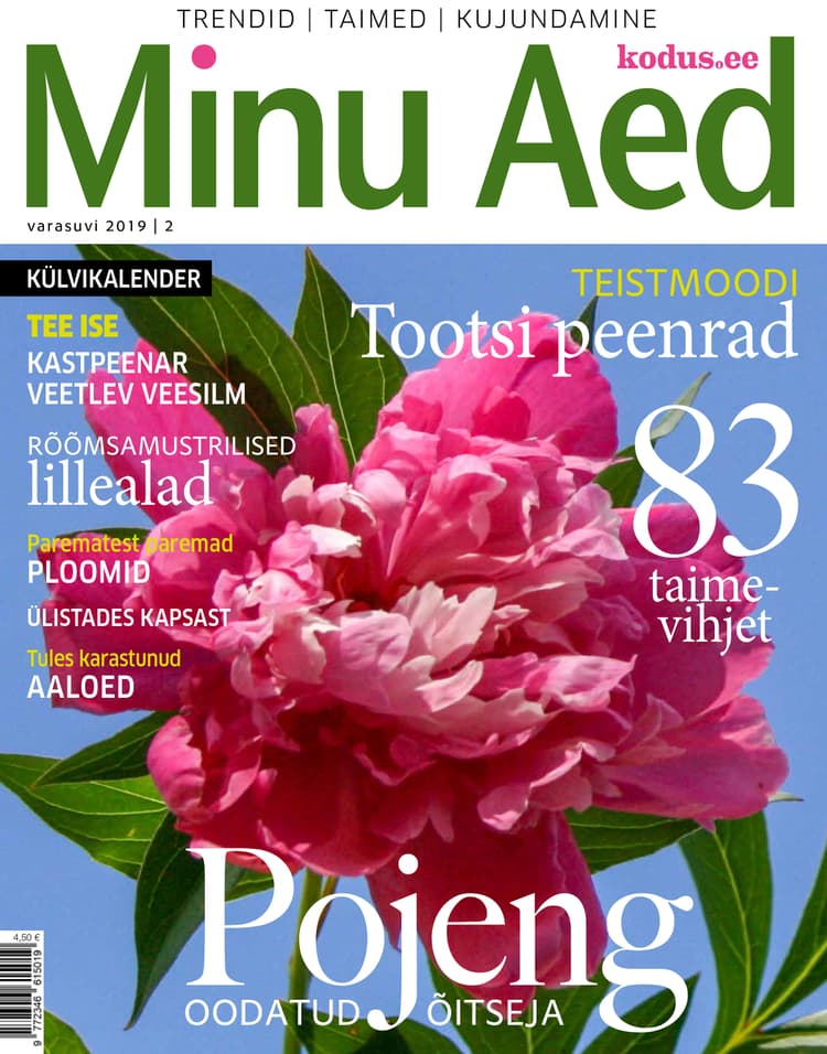 MINU AED VARASUVI 2019