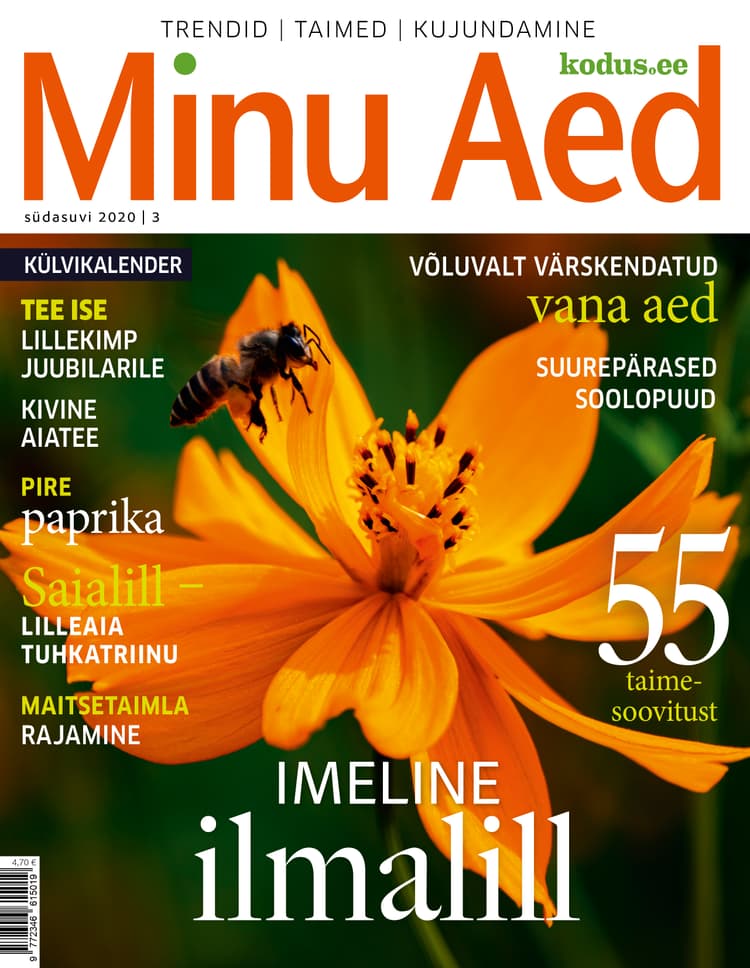 MINU AED SÜDASUVI 2020