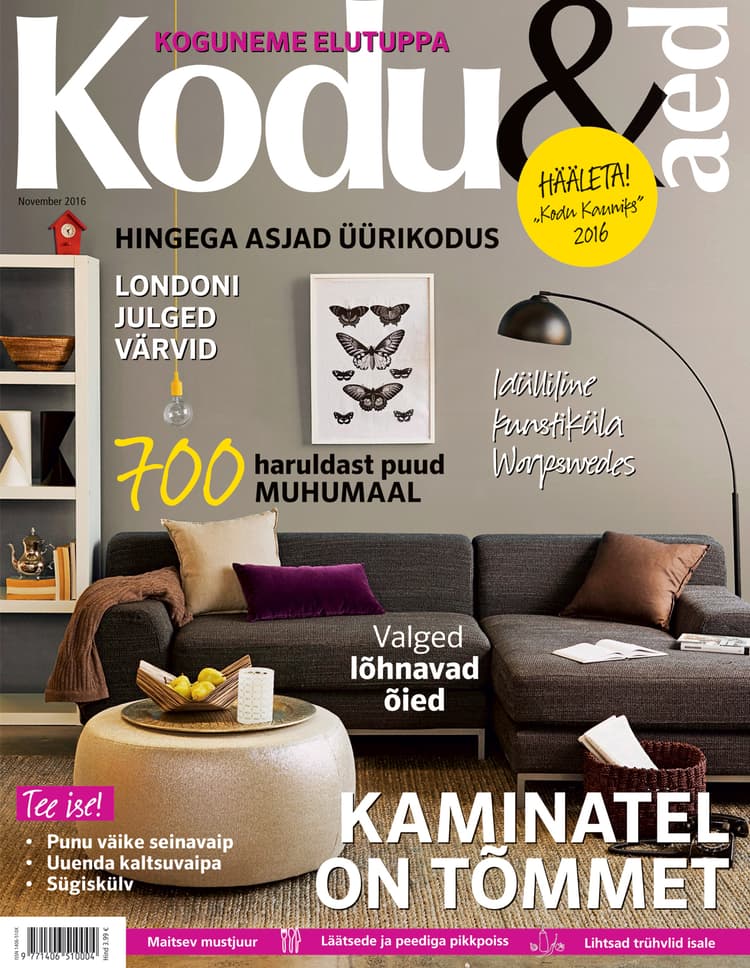 Kodu & Aed november 2016
