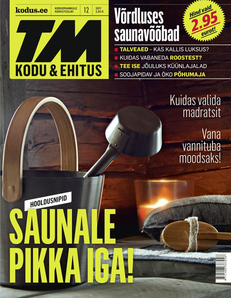 TM Kodu &Ehitus detsember 2017