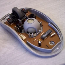 Kuuliga hiire sise-elundid.